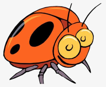 Insect Clipart, HD Png Download, Transparent PNG