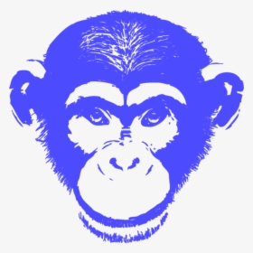 Capri Sun - Monkey, HD Png Download, Transparent PNG