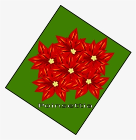 Flor De Navidad Clip Art - Illustration, HD Png Download, Transparent PNG
