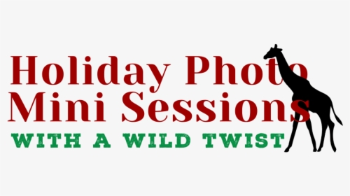 Holiday Photo Mini-sessions - Oval, HD Png Download, Transparent PNG