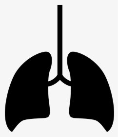 Breathing - Breathing Icon Png, Transparent Png, Transparent PNG