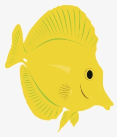 Blue Tang Fish Clipart Outline Vector Black And White - Illustration, HD Png Download, Transparent PNG