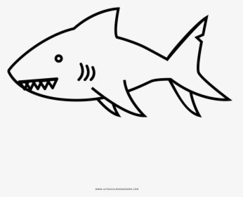Shark Coloring Page - Shark, HD Png Download, Transparent PNG