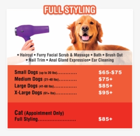 small dog grooming prices