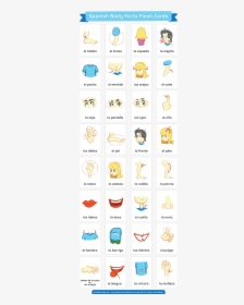 Free Printable Spanish Body Parts Flash Cards, HD Png Download, Transparent PNG