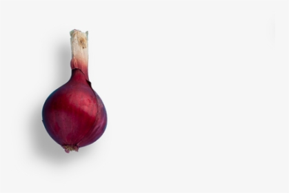 Vase, HD Png Download, Transparent PNG