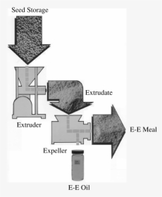 Diagram, HD Png Download, Transparent PNG