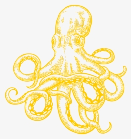 Octopus Drawing, HD Png Download, Transparent PNG
