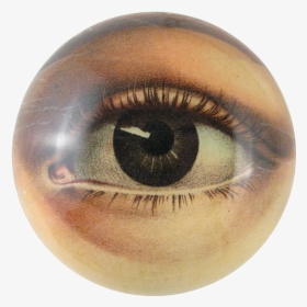 John Derian Eye Bowl, HD Png Download, Transparent PNG