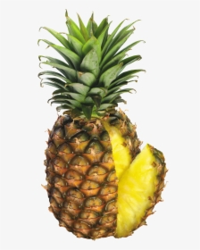 Transparent Free Pineapple Clipart - Pine Apple White Background, HD Png Download, Transparent PNG