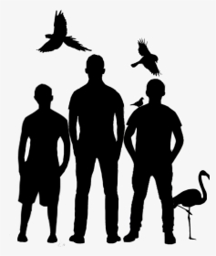 Isolated Birds Png, Transparent Png, Transparent PNG
