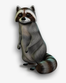 Heal The Wild Animals - Clipart Racoon Bear, HD Png Download, Transparent PNG