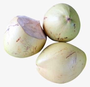 Top View Of Coconut Png Image - Portable Network Graphics, Transparent Png, Transparent PNG