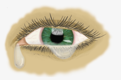 Picture - Eyelash Extensions, HD Png Download, Transparent PNG