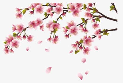 Peach Blossom Png - Cherry Blossom Png, Transparent Png, Transparent PNG