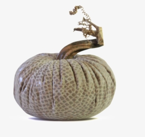 Data Image Id 15288085190   Class Productimg Product - Pumpkin, HD Png Download, Transparent PNG