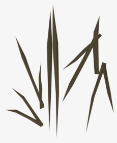 The Runescape Wiki - Plant Stem, HD Png Download, Transparent PNG