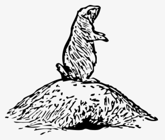 Prairie Dog Clipart Texas - Drawing Of Prairie Dog, HD Png Download, Transparent PNG