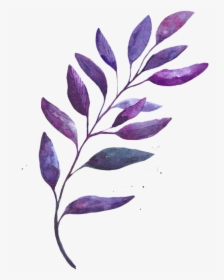 Toner, HD Png Download, Transparent PNG