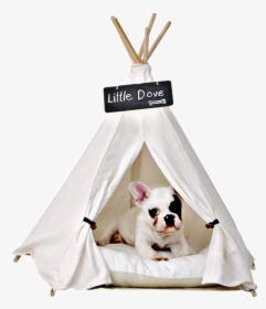 #tent #petsandanimals #puppy #dog #pitbull #cute #bed - Small Teepee For Dogs, HD Png Download, Transparent PNG
