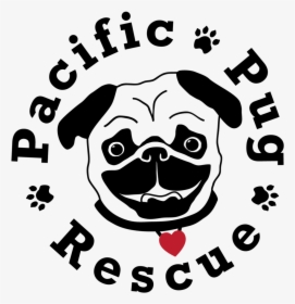 Transparent Pug Face Png - Pacific Pug Rescue, Png Download, Transparent PNG