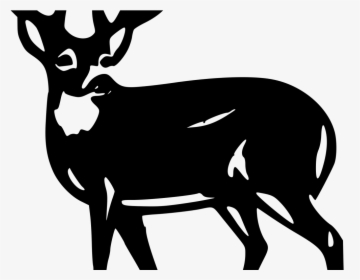 White-tailed Deer Clip Art Mule Deer Red Deer - Silhouette White Tail Deer, HD Png Download, Transparent PNG