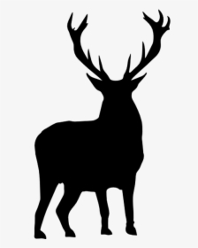 White-tailed Deer Moose Silhouette Clip Art - Moose Silhouette Head Transparent, HD Png Download, Transparent PNG