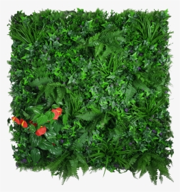 Artificial Green Wall Hedge Panel Mixed Jungle, HD Png Download, Transparent PNG