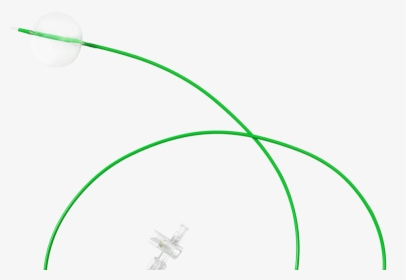 Circle, HD Png Download, Transparent PNG