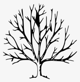 Tree Without Leaves Clipart, HD Png Download, Transparent PNG