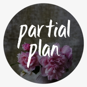 Partial Plan - Common Peony, HD Png Download, Transparent PNG