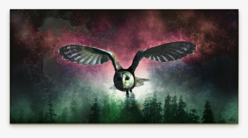 Flying Owl Digital Art On Canvas - Barn Owl, HD Png Download, Transparent PNG