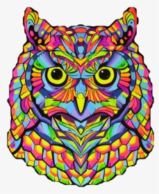 #owl #colors #mandala #bird #animal #nature #beak #wings - Colorful Owl Art, HD Png Download, Transparent PNG