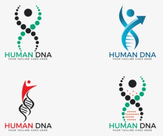 Human Dna And Genetic Logo Design Set - Dna Logo Design, HD Png Download, Transparent PNG