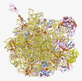 Structural Biochemistry/nucleic Acid/dna/dna Structure/unusual - Illustration, HD Png Download, Transparent PNG