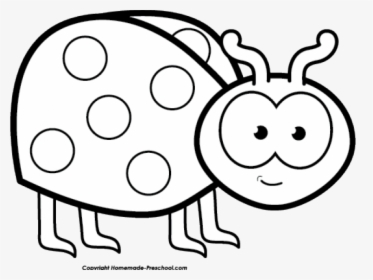 Lady Bug Clipart - Ladybird Black And White, HD Png Download, Transparent PNG