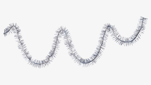 Decoration Centerblog Christmas Garland Day Free Photo - Eyelash Extensions, HD Png Download, Transparent PNG