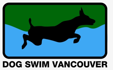 Dog Swim Vancouver - Dog Agility Vector, HD Png Download, Transparent PNG