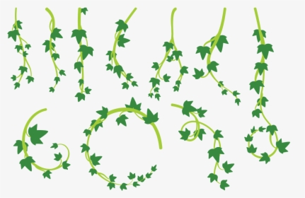 Liana Leaves Vector - Lianas Png, Transparent Png, Transparent PNG