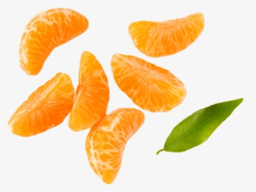 Mandarin Orange, HD Png Download, Transparent PNG