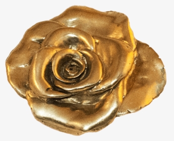 Garden Roses, HD Png Download, Transparent PNG