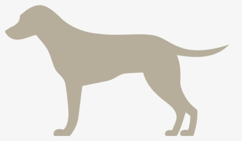 Narumed Hund - Hund Png, Transparent Png , Transparent Png Image - PNGitem
