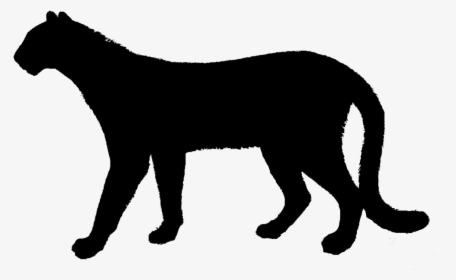 Cat Cheetah Clip Art Silhouette Lion - Cheetah Silhouette Transparent, HD Png Download, Transparent PNG