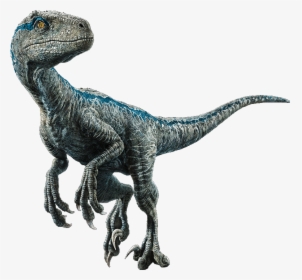 Blue World Jurassic Velociraptor Jurassic World Blue Clipart Hd Png Download Transparent Png Image Pngitem