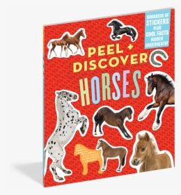 Peel Discover - Peel + Discover: Horses, HD Png Download, Transparent PNG