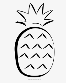 White Drawing Pineapple Svg Free Library - Pineapple Drawing Animation, HD Png Download, Transparent PNG