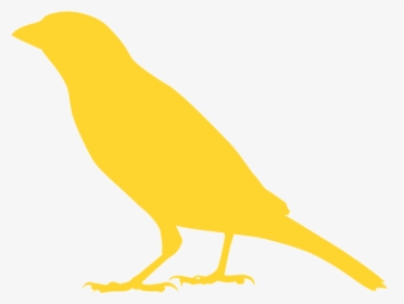 Sparrow Silhouette Png, Transparent Png, Transparent PNG