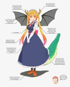 Let S Take A Look At Some Of Her Physical Attributes - Flying Dragon Maid Tohru, HD Png Download, Transparent PNG