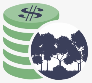 Tree, HD Png Download, Transparent PNG