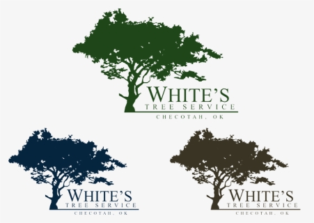 Logo For White S Tree Service Pinterest Trees Logos - Viteos, HD Png Download, Transparent PNG